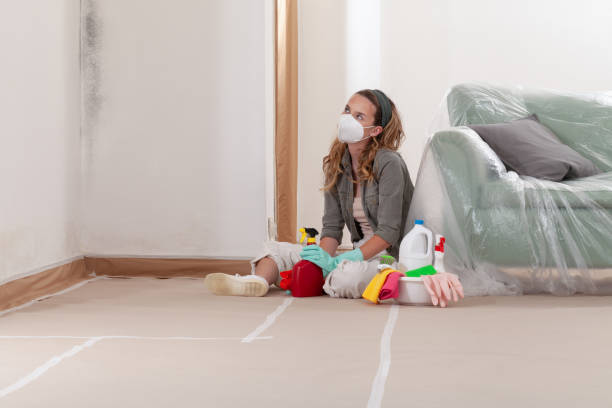 Reliable Mold Testing contractor in Clear Spring, MD by WQB Mold Removal