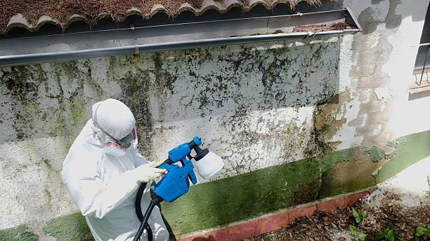 Top rated local Mold Testing specialists in Clear Spring, MD